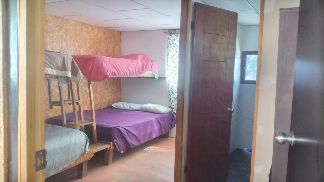 La Casa Del Nenufar Hotel Oaxaca Kültér fotó