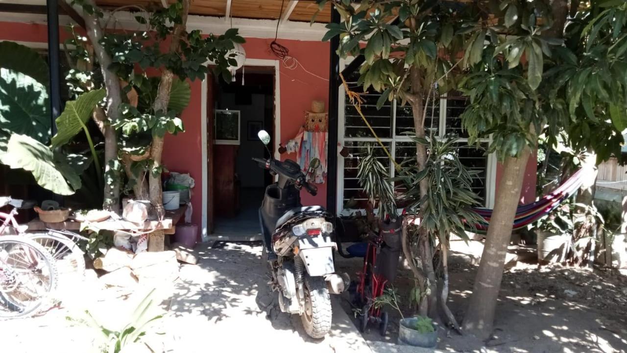 La Casa Del Nenufar Hotel Oaxaca Kültér fotó
