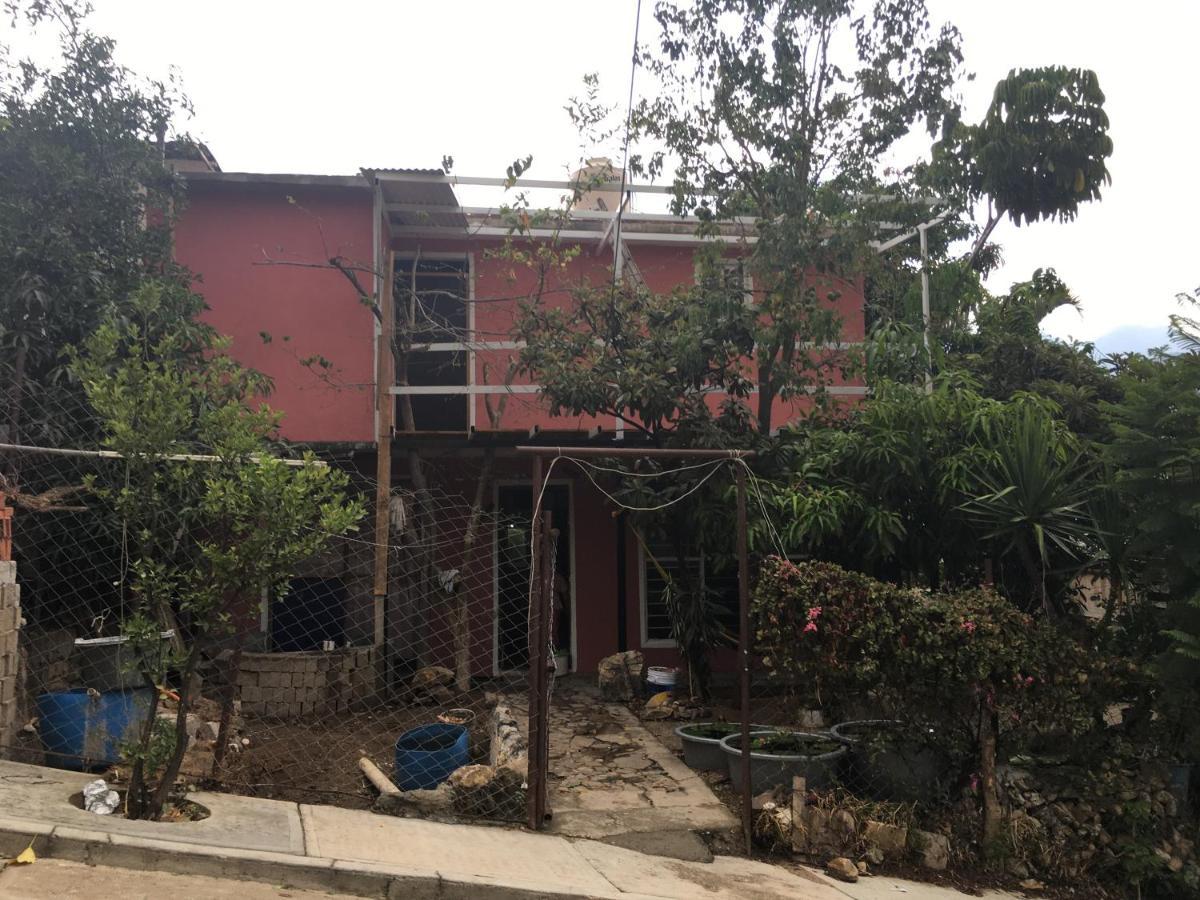 La Casa Del Nenufar Hotel Oaxaca Kültér fotó