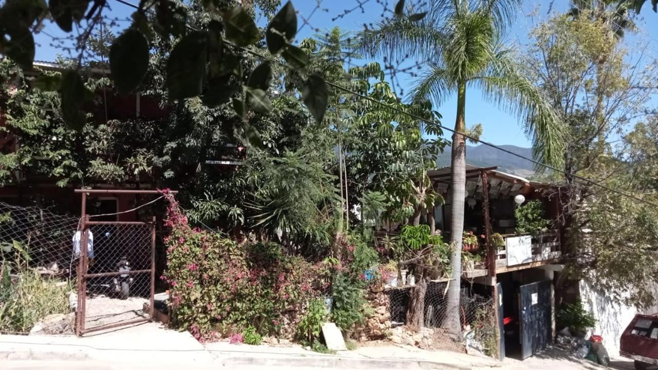 La Casa Del Nenufar Hotel Oaxaca Kültér fotó