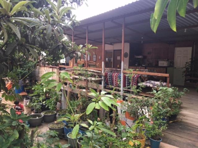 La Casa Del Nenufar Hotel Oaxaca Kültér fotó
